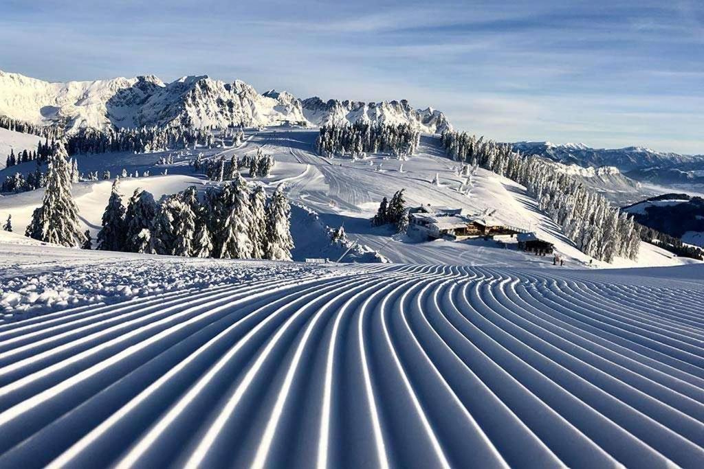 Alpine Lodge Brixen ブリクセン イン ターレ エクステリア 写真